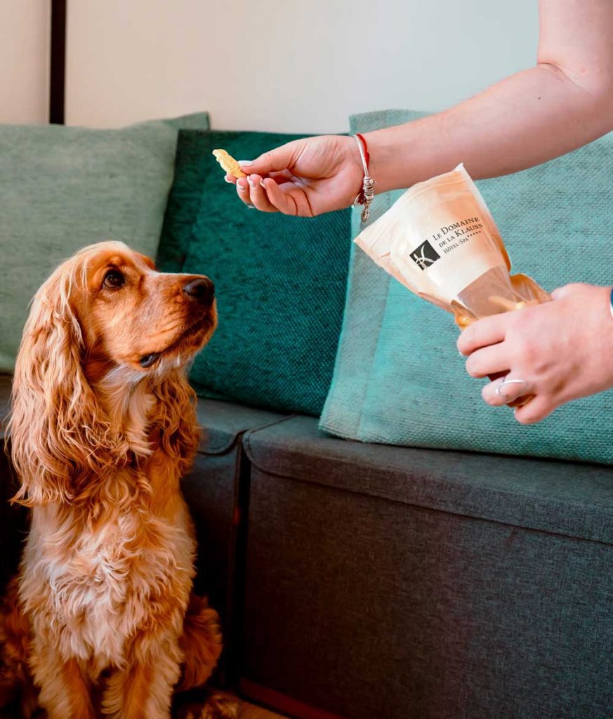 personalisierbare Hundeleckerli