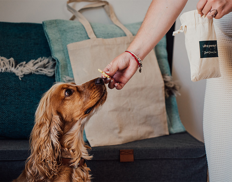 Haustierfreundliche Goodies